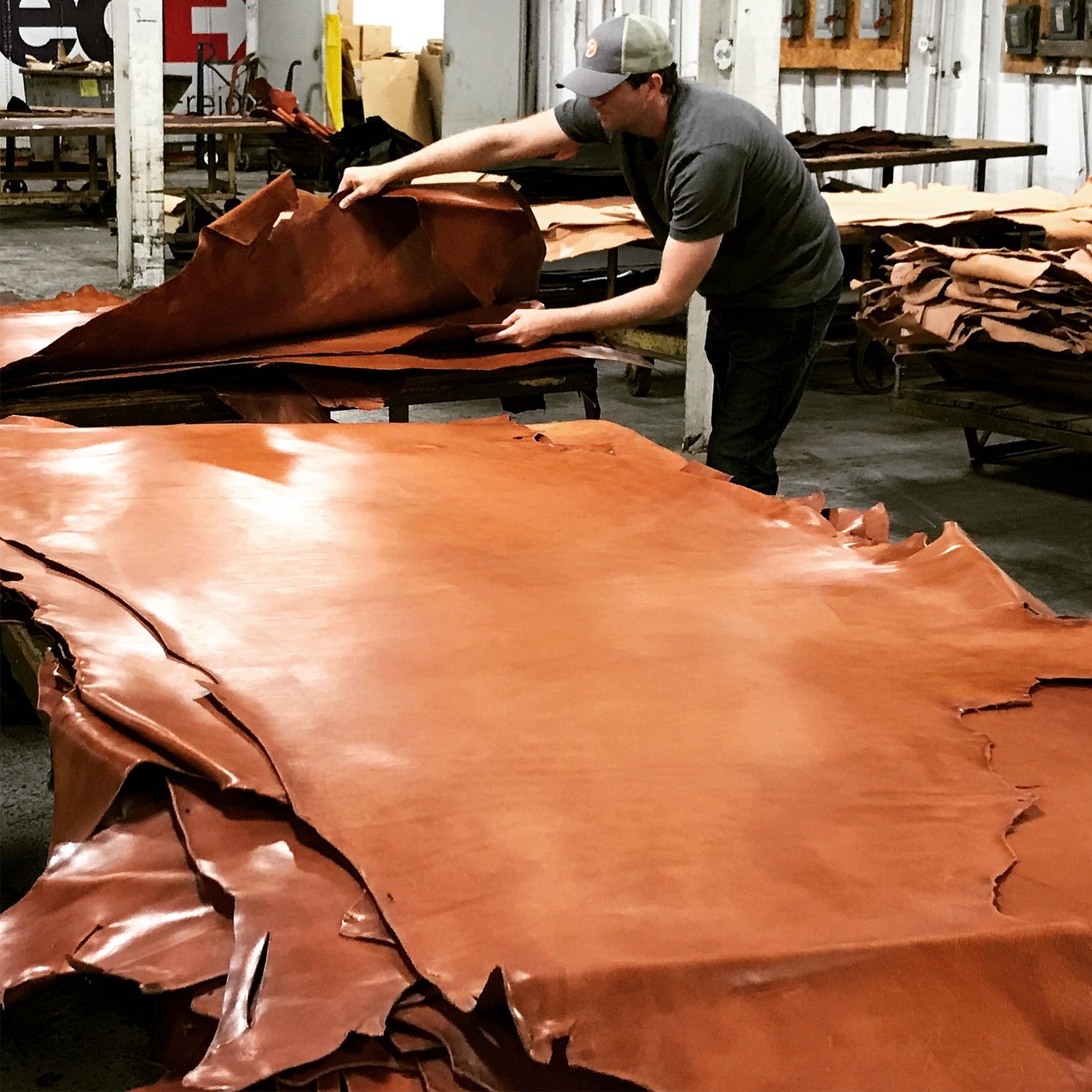 full grain leather hides